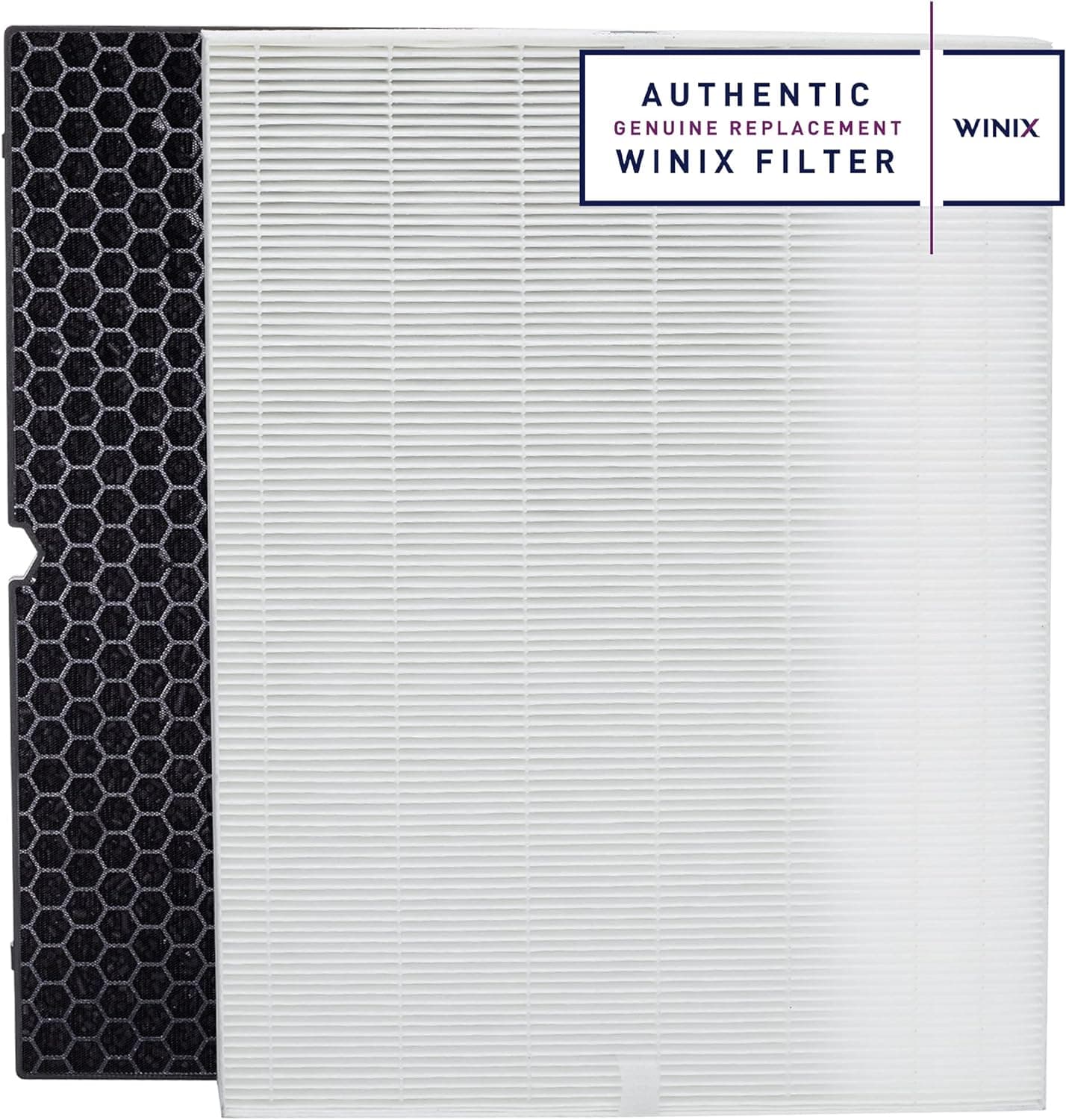 Winix 116130 Replacement Filter H for 5500-2 Air Purifier